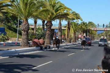 Carreras de caballo de las fiestas de San Juan 2018 de Telde (Foto Francisco Javier Santana)